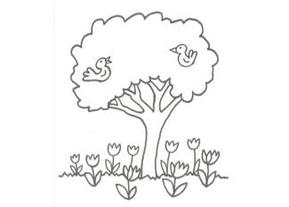Dibujo de árboles y pájaros para pintar con niños