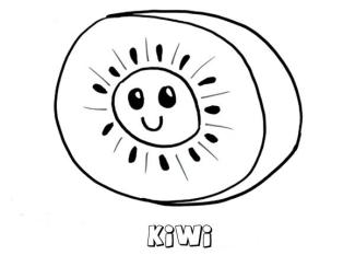 Dibujo de un kiwi. Imágenes para pintar con niños