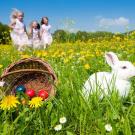 Persiguiendo al conejo de Pascua. Tarjeta virtual para los niños