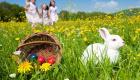 Persiguiendo al conejo de Pascua. Tarjeta virtual para los niños