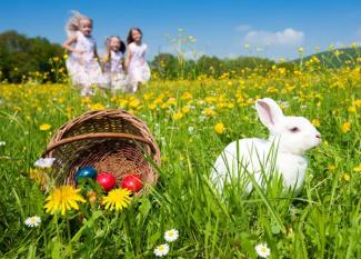 Persiguiendo al conejo de Pascua. Tarjeta virtual para los niños