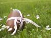 Huevo de Pascua con un lazo. Tarjeta virtual para los niños