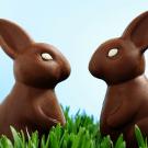 Conejos de Pascua de chocolate. Tarjeta virtual para los niños