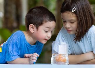 Experimentos con huevos. Ciencia divertida para niños paso a paso