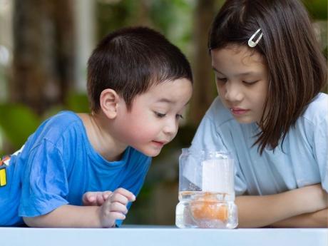 Experimentos con huevos. Ciencia divertida para niños paso a paso