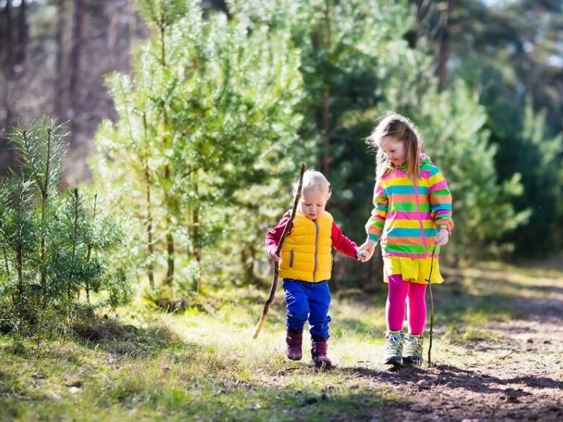 Excursiones en naturaleza