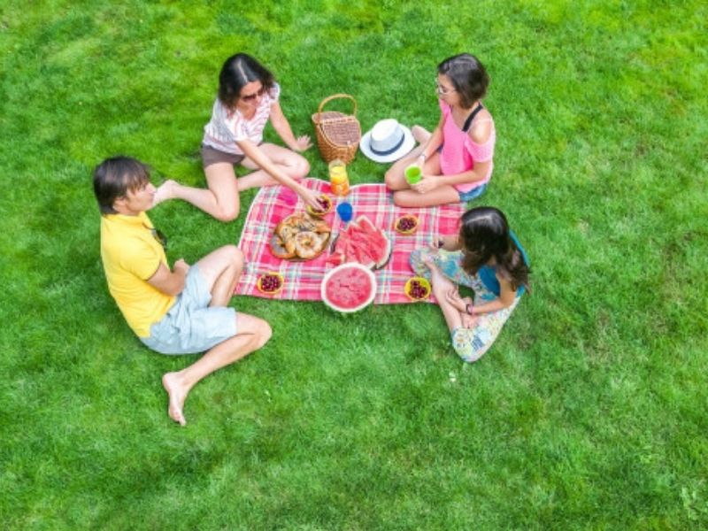 picnic en el parque