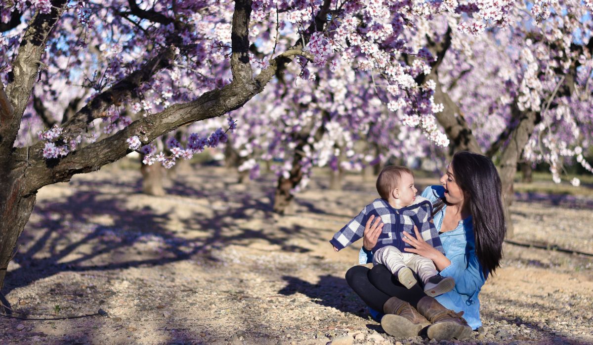 Ver los Almendros en flor en familia