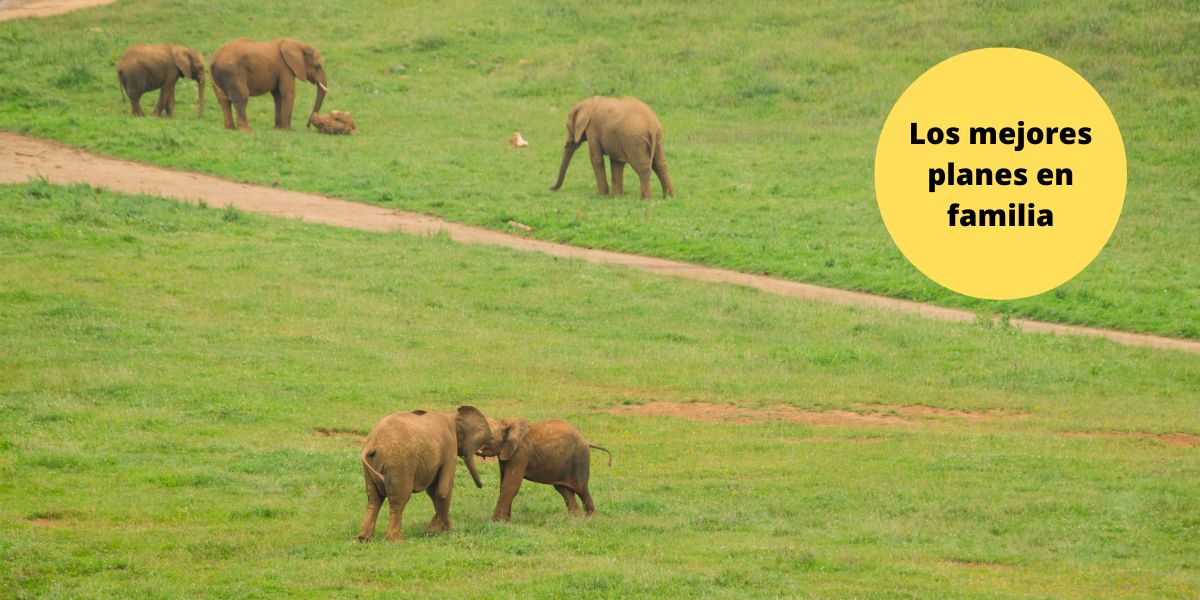 Parque de Cabárceno con niños Parque de Cabárceno con niños
