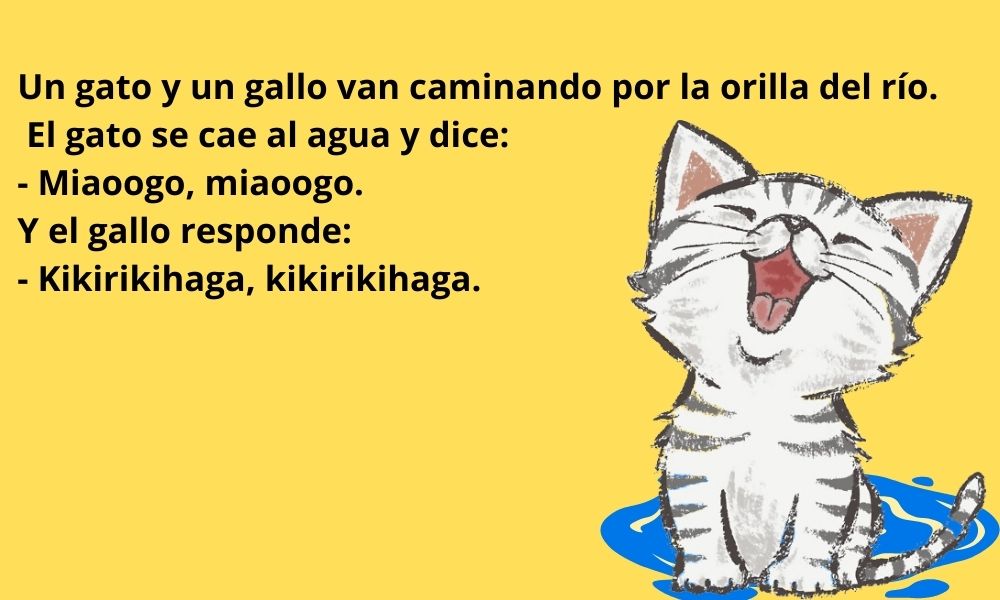 Chistes de gatos para niños