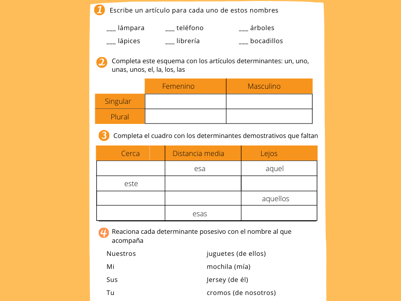 El determinante, ficha de lengua para primaria