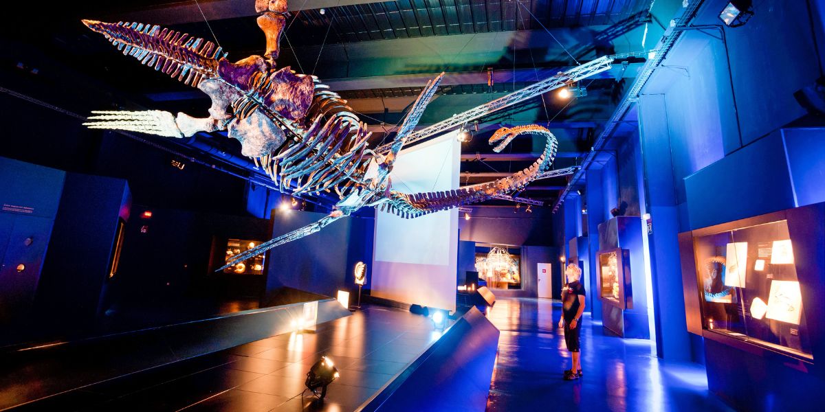 Dinópolis con niños