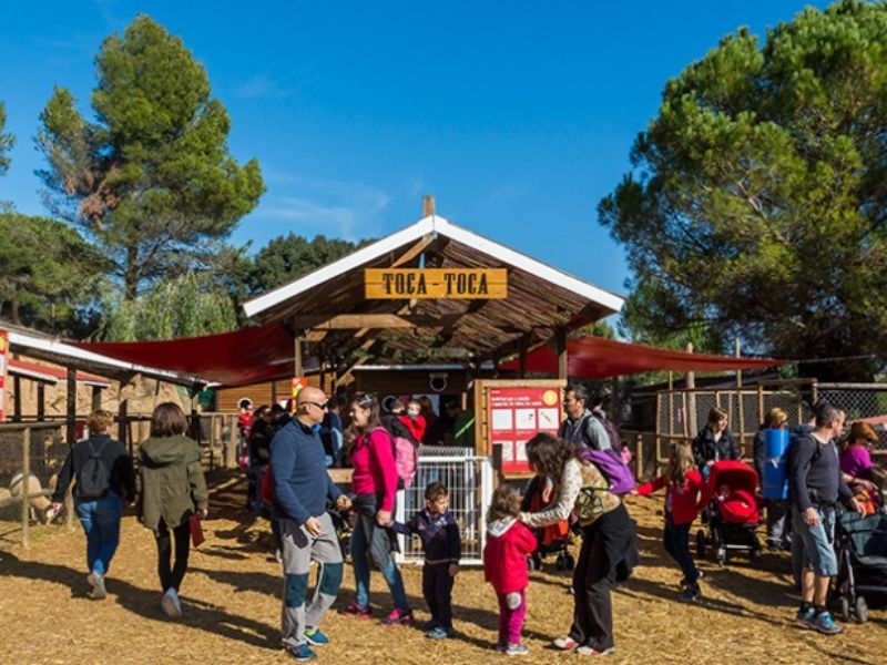 Sobriqueta enfocar Tan rápido como un flash Las 10 mejores granjas de España para visitar en familia