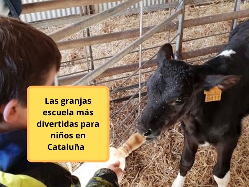 las granjas escuela más divertidas para niños en Cataluña 