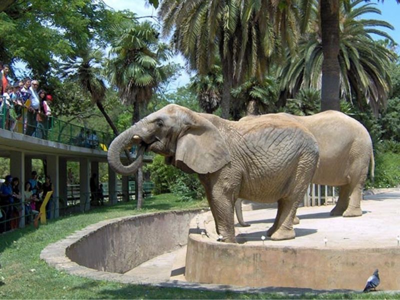 zoo Barcelona 