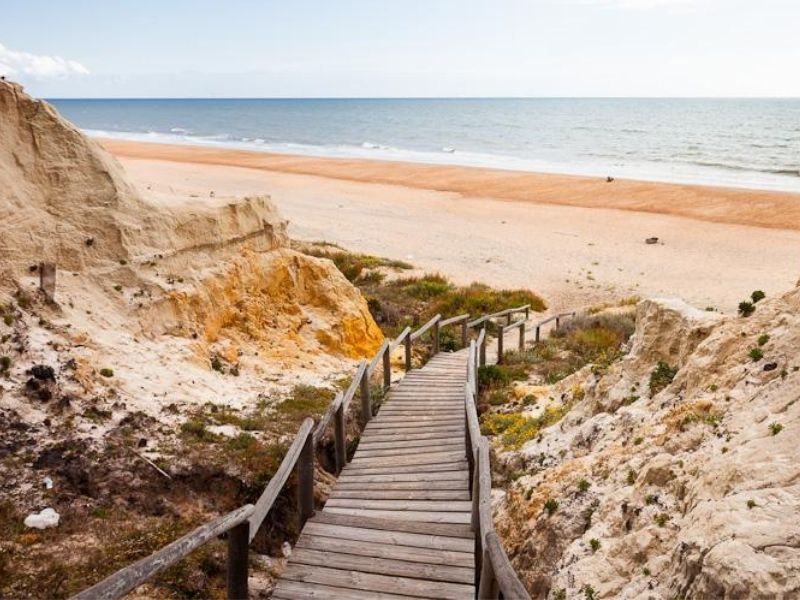 parque natural de Doñana 