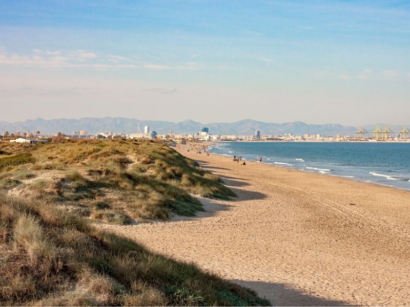 playa el Saler y la albufera 