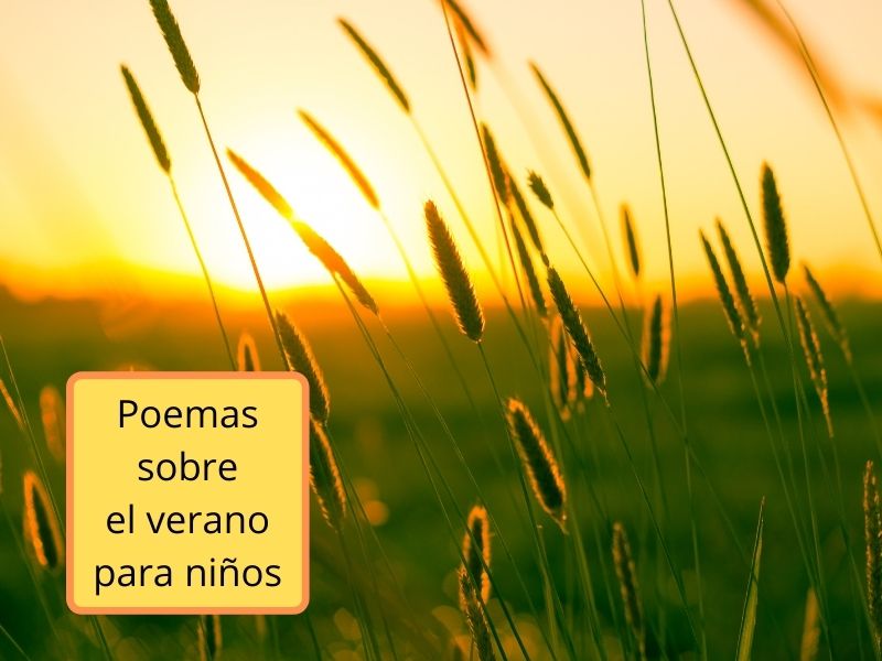 Poemas sobre el verano para niños