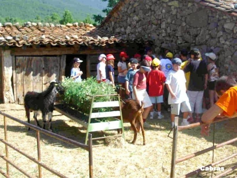 granja casavieja