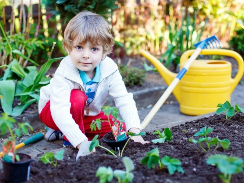 niños haciendo jardinería 