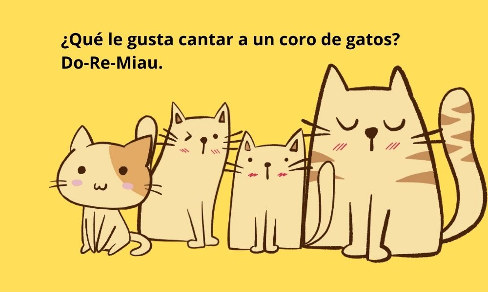 chistes sobre gatos