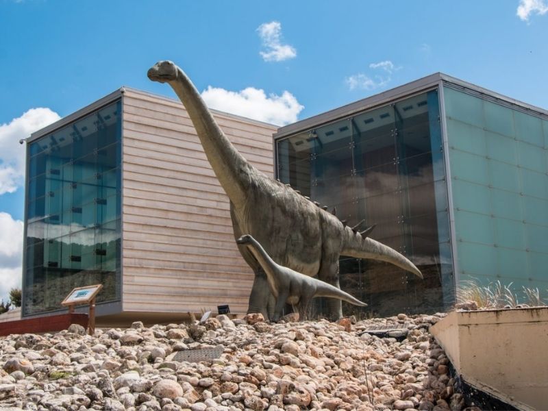museo paleontologico 