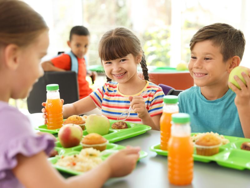 Composición medio litro Roble Comer en el colegio y cenar en casa, ¿cómo equilibrar la dieta de los niños?