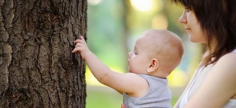 ¿Cómo es la percepción de un niño?