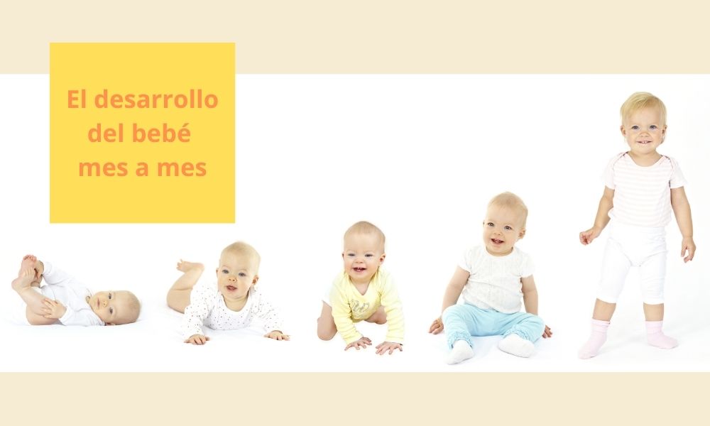 Bebé de 6 meses - Desarrollo y cuidados del bebé mes a mes