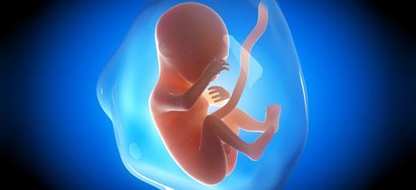 desarrollo fetal semana 5