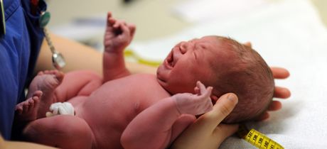 Manual del recién nacido: así son los bebés al nacer