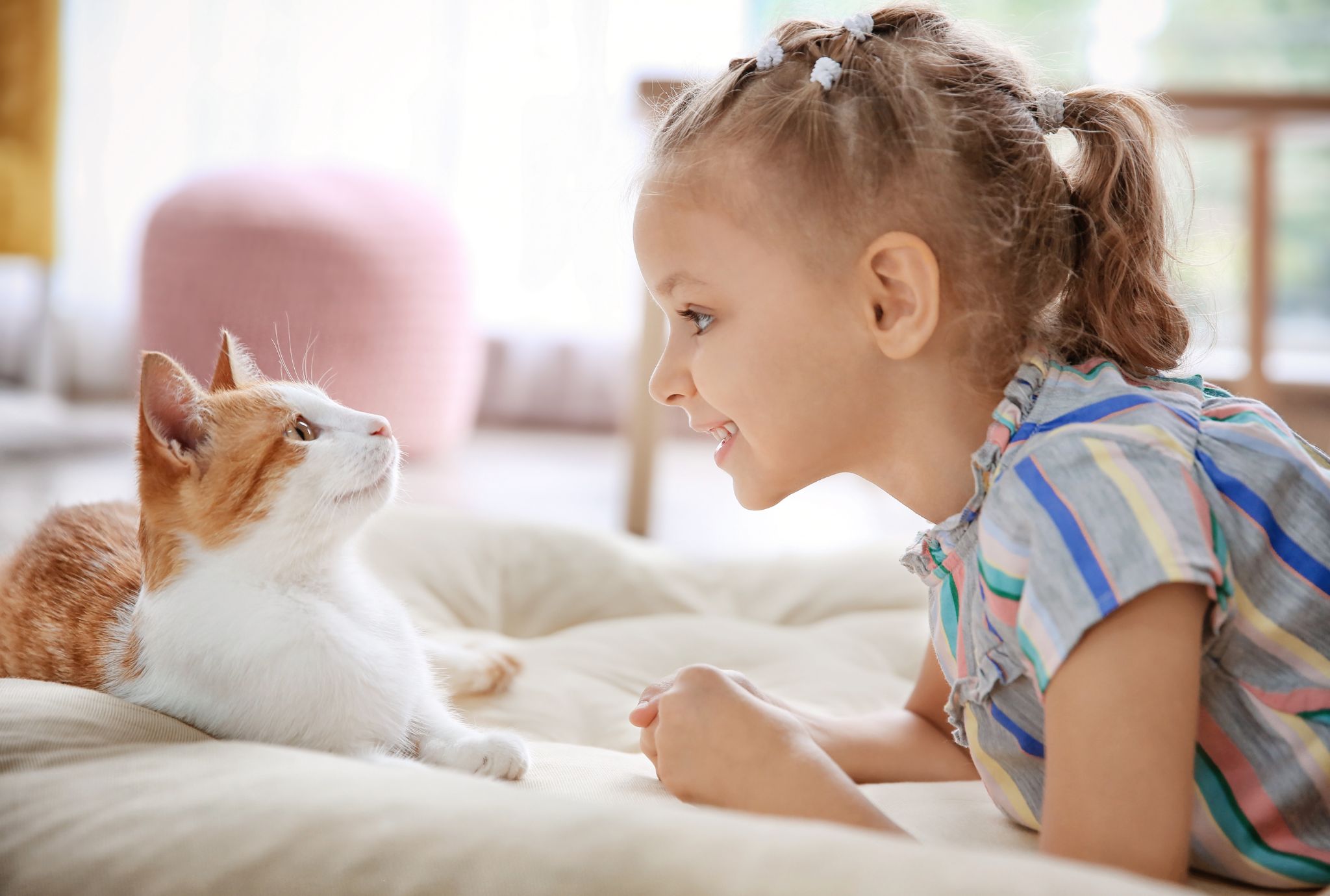 Dictados para niños sobre historias de gatos