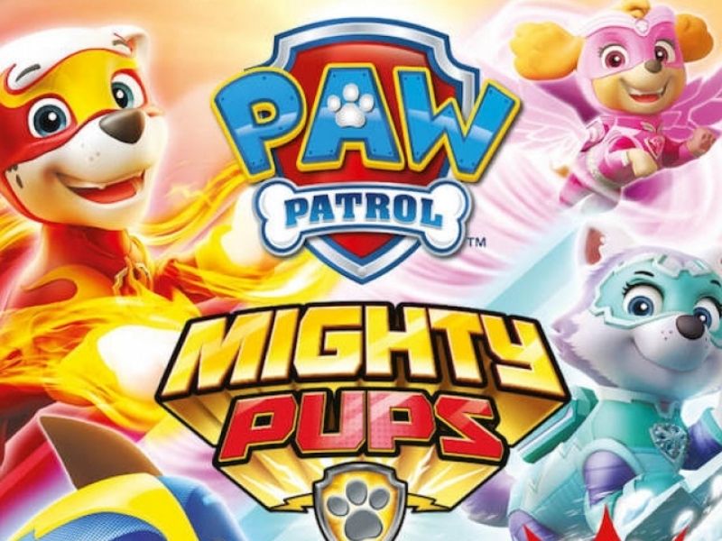paw patrol 