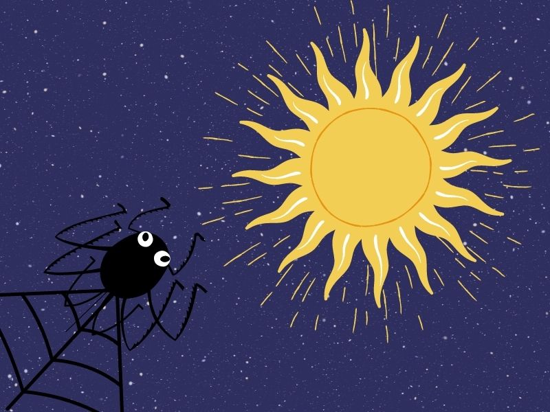 Por qué las arañas tejen su tela en forma de Sol. Leyenda americana para niños