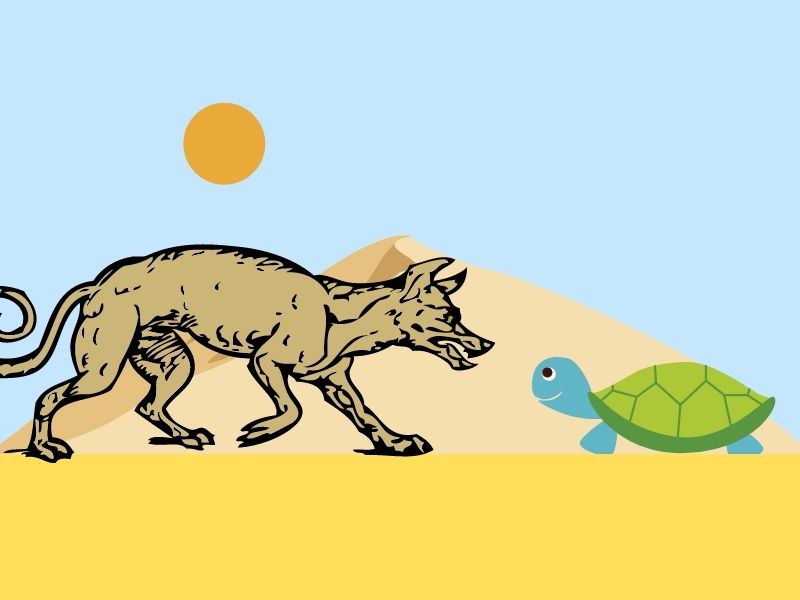 Cuento del coyote y la tortuga