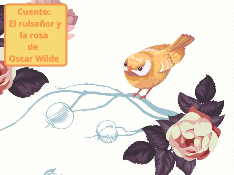 El ruiseñor y la rosa, cuento infantil de Oscar Wilde