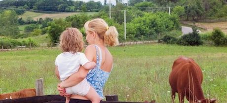 Miedo a los animales Educación Niños