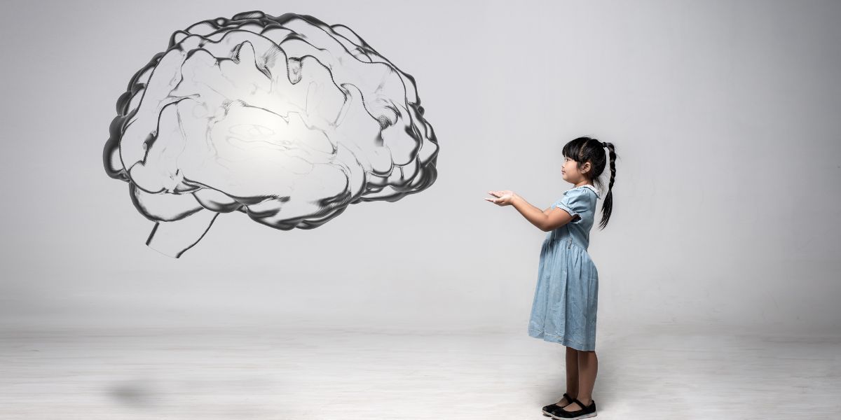 Qué es la neuroeducación