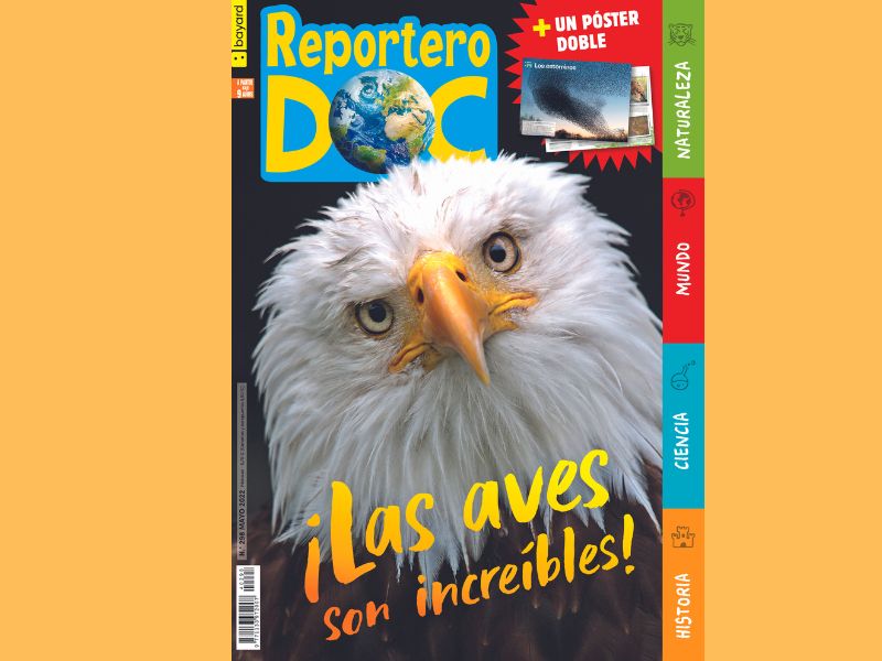 Test de Reportero Doc, mayo 2022