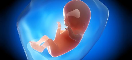 Semana 9 de embarazo: cambios en tu bebé