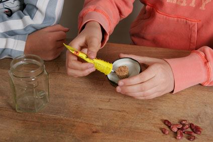 Experimento infantil para hacer crecer semillas paso1