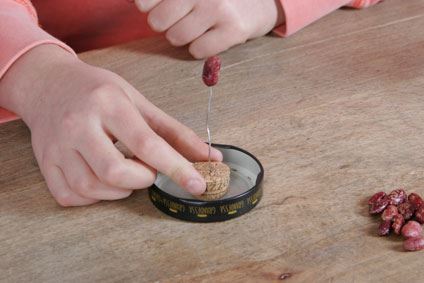 Experimento infantil para hacer crecer semillas paso5