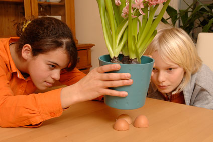 experimento infantil de huevos irrompibles 2