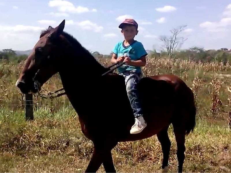niños montando a caballo 
