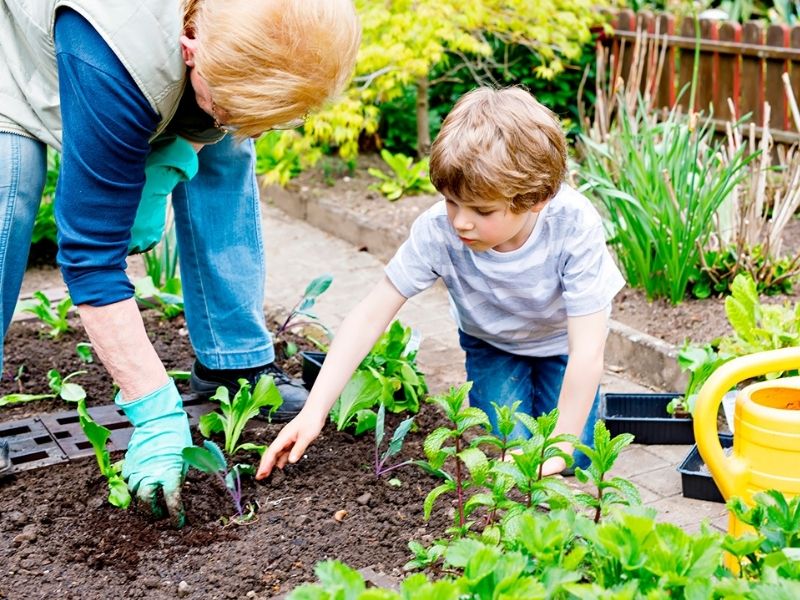 plantar con niños