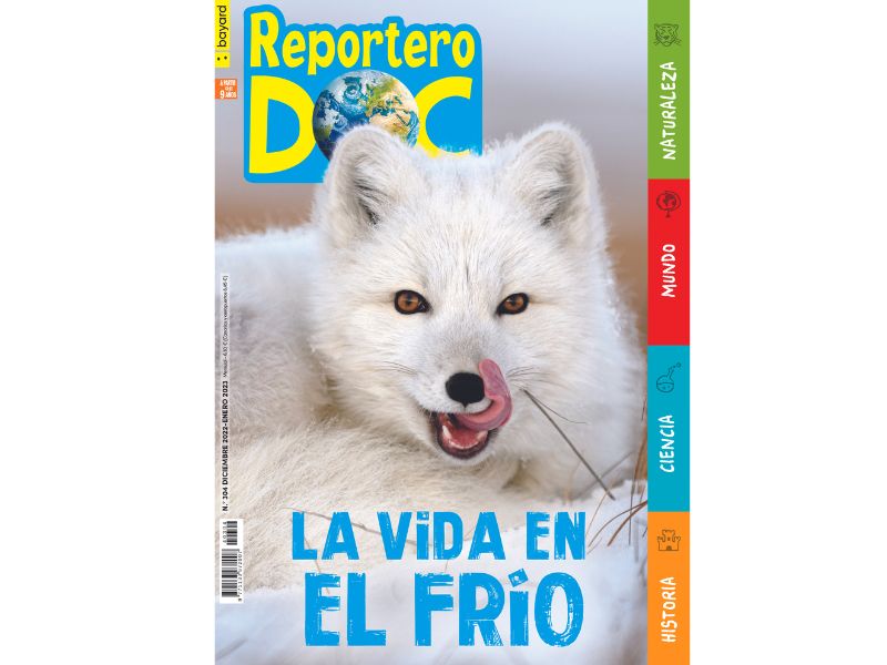 Reportero Doc diciembre 2022