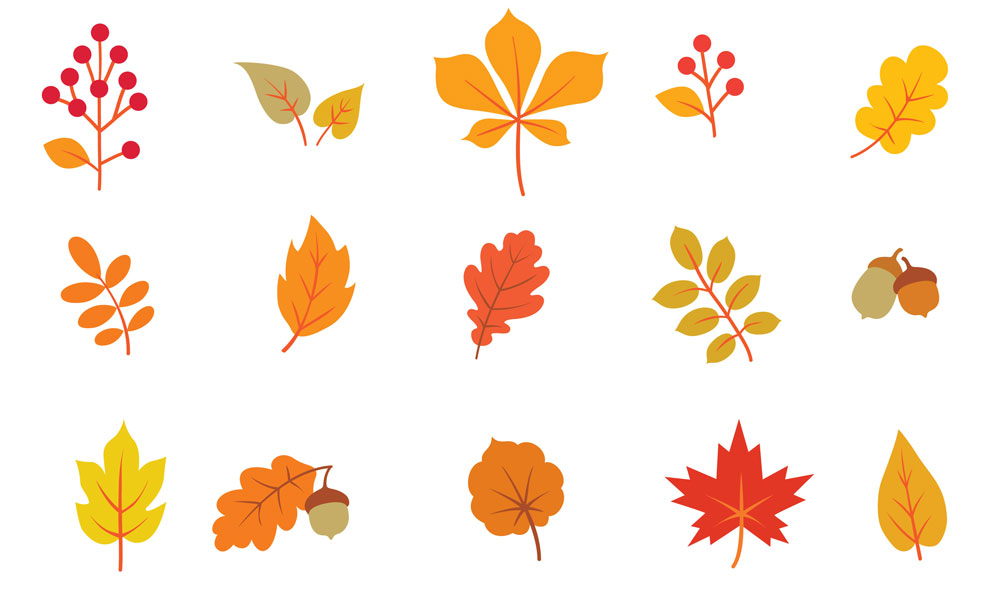 12 actividades para explicar el otoño a los niños