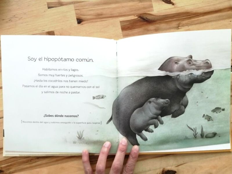 África, ¿quién soy? Libros de animales para niños