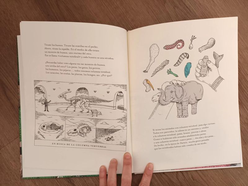 En continua evolución. Libro sobre Darwin para niños
