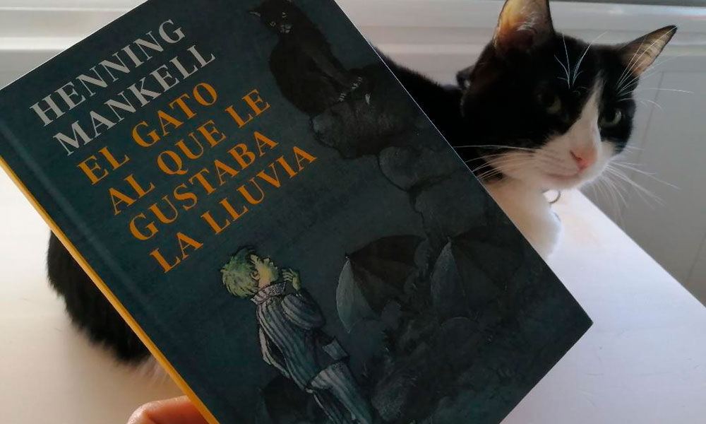 El gato al que le gustaba la lluvia, libro para niños